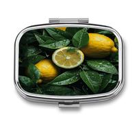 Fresh Lemon Pill Box Medicine Pill Organizer Small Pill Case Travel Pill Container Portable Pill Case for Pocket 2 Compartment Pill Holder Pill Boxes for Travel