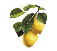 Fresh lemon Printed pick set - 12 pieces, thin, medium and thick guitar picks, suitable for guitar, bass, electric guitar and ukulele