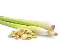Fresh Lemongrass Stalks, Aromatic Herb for Cooking and Beverages (80g X 10)
