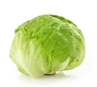 Fresh Lettuce - 10 Pack - Crisp, Clean Salad Leaves for Restaurants, Catering, Meal Prep & Everyday Home Use