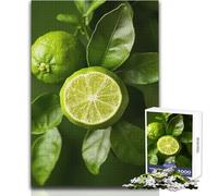 Fresh Lime Jigsaw for Adults 1000 Pieces Focus Building Educational Activity for Festive Occasions Size 50x75cm