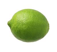 Fresh Limes I Juicy, Zesty Flavor for Cooking, Cocktails, & Garnishes I Pack of 10