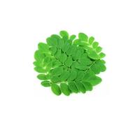 Fresh Moringa Leaves I Oleifera I Drumstick Leaves I Indian Origin I 1KG