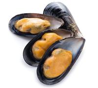 Fresh Mussels 2kg