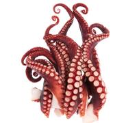 Fresh Octopus Tentacles 1kg (±10%) - Premium Wild-Caught Octopus, Tender & Meaty, Ideal for Grilling, Boiling & Mediterranean Dishes
