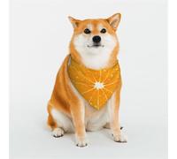 Fresh Orange Fruit Dog Bandanas Large Adjustable Dog Scarf Triangle Bibs Double Reversible Kerchief Scarf Washable Daily Handkerchief for Medium Large Dog Puppy Cat Gift