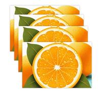 Fresh Orange Fruit Placemats Set 30x45cm*4 Heat Resistant Washable Placemat Waterproof Table Placemats Non-Slip Wipeable Tables Mat Kitchen Place Mats for Dining Party Home Decor