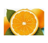 Fresh Orange Fruit Placemats Set 30x45cm Heat Resistant Washable Placemat Waterproof Table Placemats Non-Slip Wipeable Tables Mat Kitchen Place Mats for Dining Party Home Decor