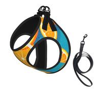 Fresh Orange Fruit Print Adjustable Harness Leash Set For Cats And Dogs, Soft Breathable Kitten Puppy Mesh Vest With Reflective Design, Escape-Proof Lead For Small Pets Walking Training