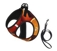 Fresh Orange Fruit print Dog Harness and Leash Set, Reflective Adjustable Puppy Vest for Small Medium Large Dogs, Cats