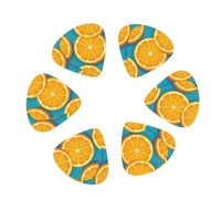 Fresh Orange Fruit print Guitar Picks, 12PCS Premium Celluloid Guitar Pick Medium for Acoustic Guitar, Electric Guitar, Bass
