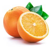 Fresh Oranges 10 Pieces - Premium Quality Sweet Juicy Oranges - Rich in Vitamin C - Perfect for Juicing, Snacking, and Fruit Salads - Farm Fresh Citrus