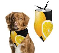 Fresh Oranges Pet Bandana Dogs Triangle Scarf Cats Handkerchief Puppy Costume