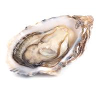 Fresh Oysters 2 Pieces x 4 pack