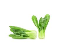 Fresh Pak Choi (Bok Choi/Shanghai Green) 7-8kg - Premium Asian Leafy Vegetable - Farm Fresh Quality - Ideal for Stir-Fries, Soups, and Healthy Cooking