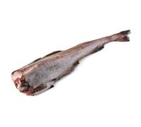 Fresh Pollock 2-2.5kg (±10%) - Premium Whole Pollock, Wild-Caught, Mild Flavour & Firm White Flesh, Ideal for Baking, Frying & Seafood Dishes