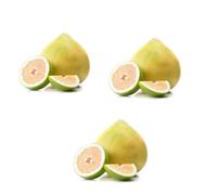 Fresh Pomelo Melon I Juicy I Sweet Citrus Fruit I Pack of 3