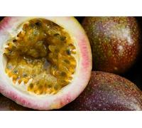 Fresh Purple Passionfruit Box-Premium Fruits (Purple Passionfruit, Box of 10 fresh fruits)