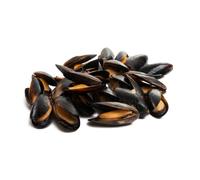 Fresh Raw Mussels 40kg - Premium Live Shellfish, Sweet & Juicy, Ideal for Steaming, Grilling & Bulk Seafood Platters