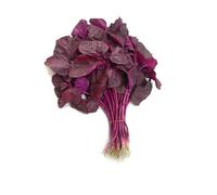 Fresh Red Amaranth Leaves, 250g, Red Spinach, South Indian Leafy Green Vegetable for Stir Fry and Traditional Recipes (2 Bunch)