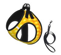 Fresh Ripe Corn Cobs Pattern,Pet Harness,Adjustable Reflective Dog Harness,Pet Leash Vest,S
