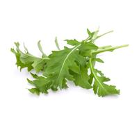 Fresh Rocket Leaves 1 Pack x 10 (Multi-Pack) | Crisp & Peppery | Ready to Eat | Ideal for Salads, Sandwiches, Wraps & Catering