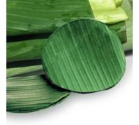 Fresh Round Banana Leaves, 2 Pounds