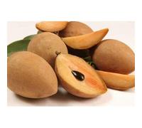 Fresh Sapota Chikoo Fruit, Natural Sweet Tropical Fruit, Fresh Chiku for Eating Smoothies Milkshakes Desserts, Indian Seasonal Fresh Fruit