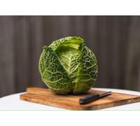 Fresh Savoy Cabbage - Premium Quality, Sustainably Sourced (1 Piece)