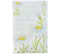 Fresh Scents Scented Sachets - Baby Powder, Lot of 6