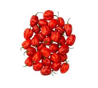 Fresh Scotch Bonnet Pepper || Bonney pepper || Caribbean peppers || (Premium (Green House-1KG))