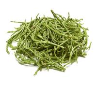 Fresh Sea Beans Box 2.5kg - Seasonal Samphire (Sep-Nov Harvest) - Premium Quality Wild Sea Vegetables - Crisp, Salty Flavour for Restaurants, Chefs & Catering - Sustainably Sourced
