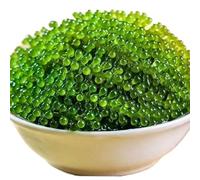 Fresh sea Grapes, Instant Seaweed Salad, Nutritious sea Vegetables, Kelp, Seaweed Vegetables, Sushi Cold Dishes, Delicious Pickles, Side Dishes, Hot Pot Ingredients, Vegetarian, Green Fruits (2 Bags)