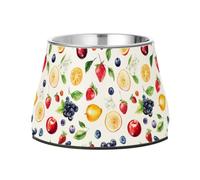 Fresh Serviceberry Fruit White Bowl for Dogs Non Skid Stainless Steel Pets Water Bowl for Small Pet Slow Down Eating