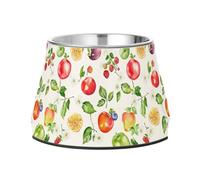 Fresh Serviceberry Fruit White Dogs Food Bowl Enhanced Stainless Steel Pets Dish Bowl for Dogs Cats Rabbits Birds Slow Down Eating