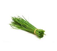 Fresh Spring Onion Bundle