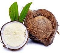 Fresh Sprouted Coconut - Also Known as Coconut Pearl - Sourced by My Exotic Fruit (10)