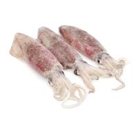 Fresh Squid ~400-500g x 2 Units - Premium Whole Squid, Cleaned & Ready to Cook, Ideal for Grilling, Frying & Seafood Dishes