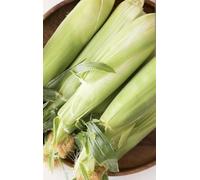 Fresh Sweet Corn on the Cob, Farm Fresh Produce, Pack of 5