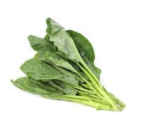Fresh Thai Kale 1400g - Premium Asian Greens | Crisp, Tender & Nutrient-Rich | Ideal for Stir-Fries, Soups, Steaming & Thai Cooking | Authentic Kai Lan