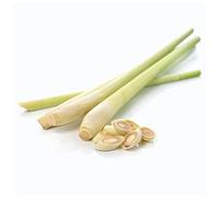 Fresh Thai Lemon Grass 1kg