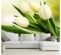 Fresh Three Dimensional Beautiful White Tulip 3D Wallpaper Easy Install Feature Office Living Room Sofa Bedroom TV Background Wall Decoration-430cm×300cm