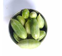 Fresh Tindori/Ivy Gourd 2kg -/+10% | Premium Quality Tendli/Tondli | Fresh Indian Vegetables for Curries, Stir-Fries, Poriyal & Traditional Cooking