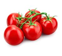 Fresh Tomatoes 5kg -/+10% | Premium Class I Red Tomatoes | Juicy, Ripe & Versatile for Salads, Cooking, Sauces, Sandwiches & Meal Prep