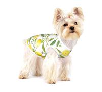 Fresh Tropical Lemons Cotton Pet T-Shirt Sleeveless Stretchy Puppy Tshirts Pet Vest Soft For Small Pets