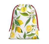 Fresh Tropical Lemons Drawstring Gift Bag Holiday Present Goody Bags For Xmas Party Reusable Storage Pouches