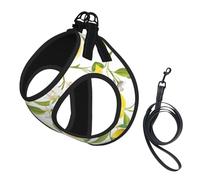 Fresh Tropical Lemons Print Adjustable Harness Leash Set For Cats And Dogs, Soft Breathable Kitten Puppy Mesh Vest With Reflective Design, Escape-Proof Lead For Small Pets Walking Training