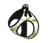 Fresh Tropical Lemons Print Harness Leash Set For Cats And Dogs, Reflective Adjustable, Soft Breathable Mesh Vest With Escape-Proof Lead, For Small Pets And Kitten Puppies