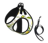 Fresh Tropical Lemons Printing Dog Summer Harness,Soft Light Puppy Vest,Breathable Pet Harness Reflective For Easy Walking
