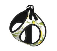 Fresh Tropical Lemons Printing Puppy Summer Vest Harness With Reflective,Dog Accessories For Small Medium Large Dogs And Cats